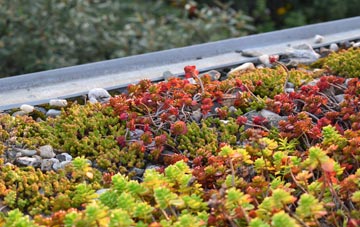 the cost of Portavogie green roof installation