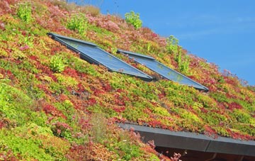 Portavogie living roof systems