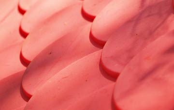 Portavogie plastic roof costs