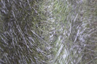 Portavogie fibreglass roof work